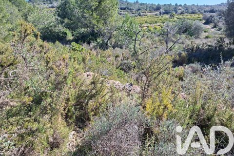 Gewerbeimmobilien zum Verkauf in Ulldecona, Tarragona, Spanien Nr. 185212 - Foto 9