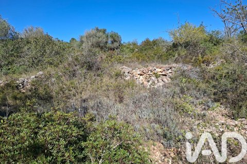 Gewerbeimmobilien zum Verkauf in Ulldecona, Tarragona, Spanien Nr. 185212 - Foto 11