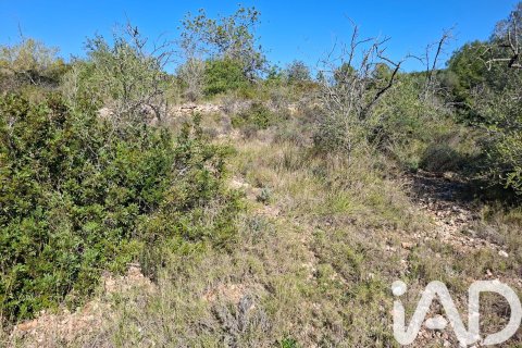 Gewerbeimmobilien zum Verkauf in Ulldecona, Tarragona, Spanien Nr. 185212 - Foto 3