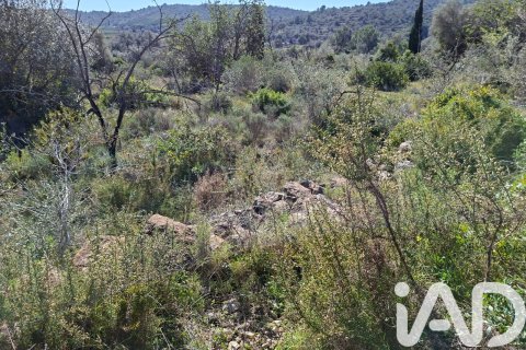 Gewerbeimmobilien zum Verkauf in Ulldecona, Tarragona, Spanien Nr. 185212 - Foto 22