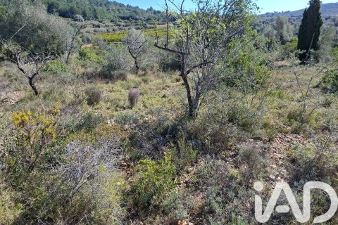 Gewerbeimmobilien zum Verkauf in Ulldecona, Tarragona, Spanien Nr. 185212 - Foto 10