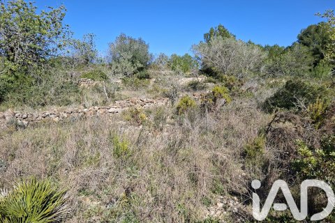 Gewerbeimmobilien zum Verkauf in Ulldecona, Tarragona, Spanien Nr. 185212 - Foto 21