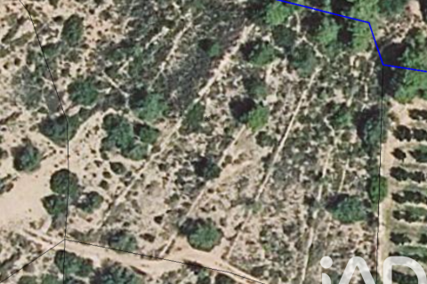 Gewerbeimmobilien zum Verkauf in Ulldecona, Tarragona, Spanien Nr. 185212 - Foto 4