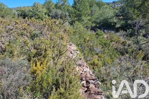 Gewerbeimmobilien zum Verkauf in Ulldecona, Tarragona, Spanien Nr. 185212 - Foto 2