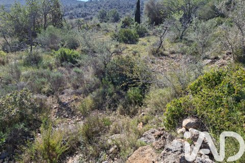 Gewerbeimmobilien zum Verkauf in Ulldecona, Tarragona, Spanien Nr. 185212 - Foto 7