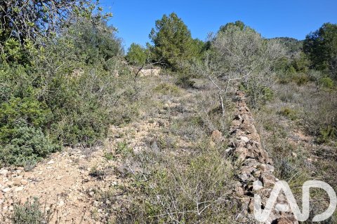 Gewerbeimmobilien zum Verkauf in Ulldecona, Tarragona, Spanien Nr. 185212 - Foto 18