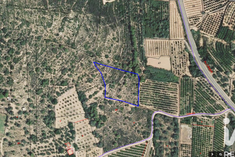 Gewerbeimmobilien zum Verkauf in Ulldecona, Tarragona, Spanien Nr. 185212 - Foto 24