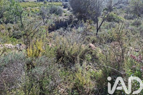 Gewerbeimmobilien zum Verkauf in Ulldecona, Tarragona, Spanien Nr. 185212 - Foto 13