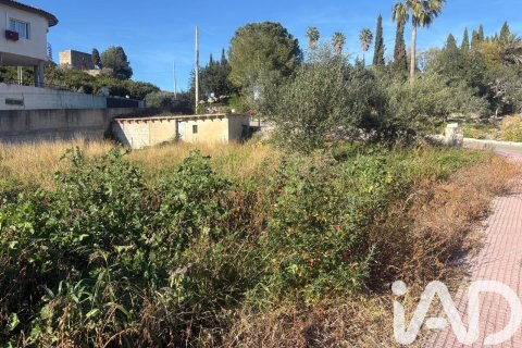 Terreno in vendita a Castellonet De La Conquesta, Valencia, Spagna 1343 mq. N° 185207 - foto 9
