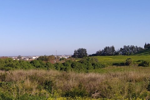 Land plot à vendre à Sanlucar de Barrameda, Cadiz, Espagne, 802 m2 No. 185211 - photo 11