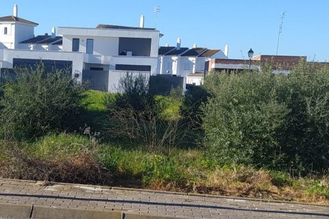 Land plot à vendre à Sanlucar de Barrameda, Cadiz, Espagne, 802 m2 No. 185211 - photo 8