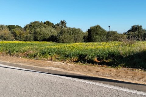 Land plot à vendre à Sanlucar de Barrameda, Cadiz, Espagne, 802 m2 No. 185211 - photo 4