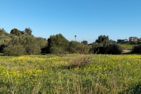 Land plot in Sanlucar de Barrameda, Cadiz, Spain 802 sq.m. No. 185211
