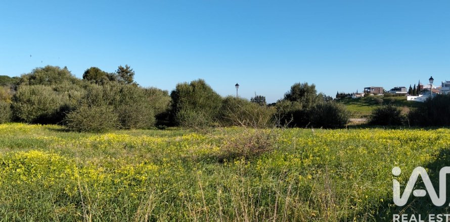 Land plot à Sanlucar de Barrameda, Cadiz, Espagne 802 m2 No. 185211