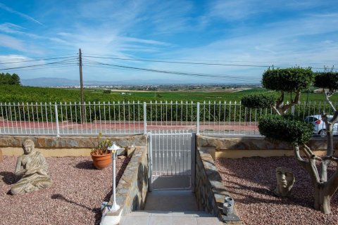 Villa till salu i Algorfa, Alicante, Spanien 4 sovrum, 490 kvm. Nr. 145322 - foto 5