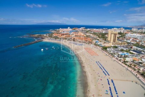 Gewerbeimmobilien zum Verkauf in Adeje, Tenerife, Spanien 730 m2 Nr. 195356 - Foto 15