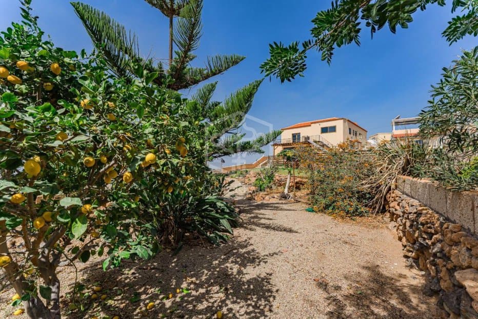 Huvila San Miguel de Abona, Tenerife, Espanja 6 makuuhuonetta, 449 m2 No. 195358