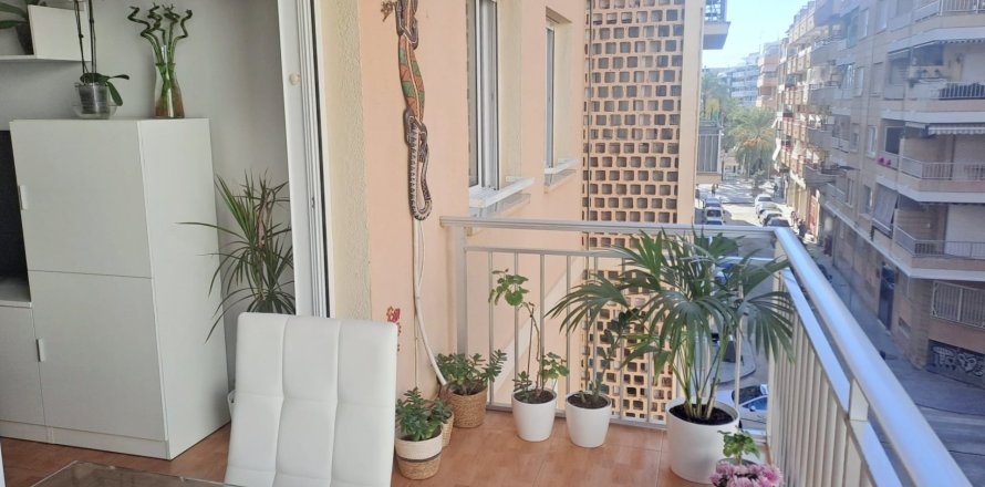 Wohnung in Torrevieja, Alicante, Spanien 3 Schlafzimmer, 80 m2 Nr. 140325