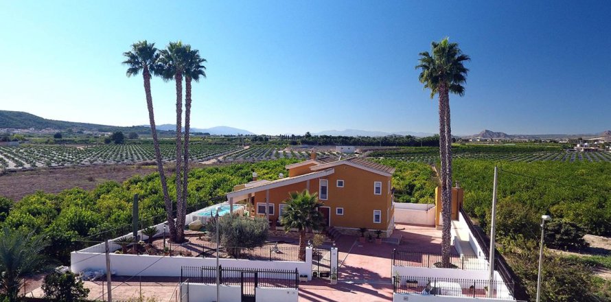 Villa en Orihuela, Alicante, España 4 dormitorios, 495 m2 No. 176646