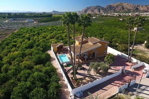 Villa en venta en Orihuela, Alicante, España 4 dormitorios, 495 m2 No. 176646 - foto 6