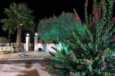 Villa en venta en Orihuela, Alicante, España 4 dormitorios, 495 m2 No. 176646 - foto 16
