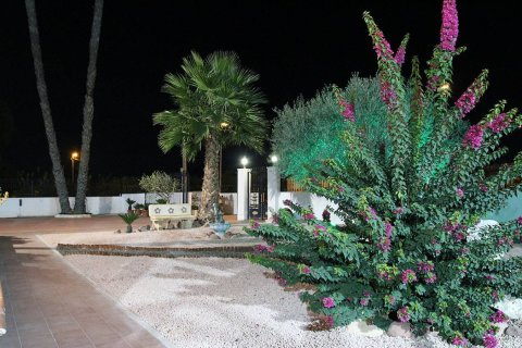 Villa en venta en Orihuela, Alicante, España 4 dormitorios, 495 m2 No. 176646 - foto 18