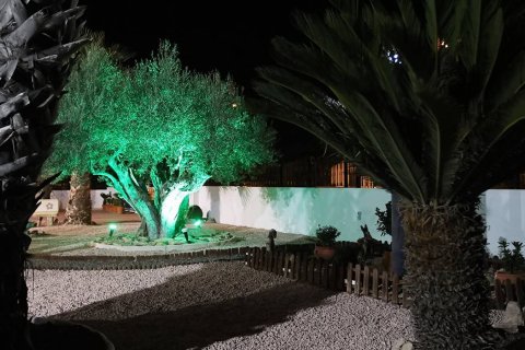 Villa en venta en Orihuela, Alicante, España 4 dormitorios, 495 m2 No. 176646 - foto 13