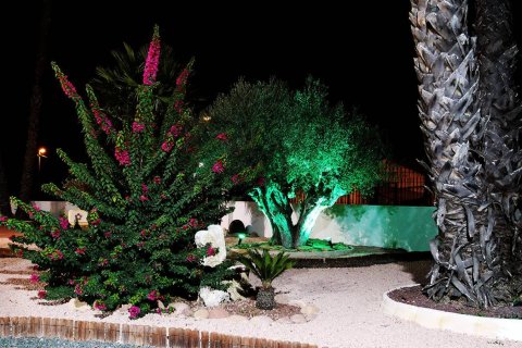 Villa en venta en Orihuela, Alicante, España 4 dormitorios, 495 m2 No. 176646 - foto 15