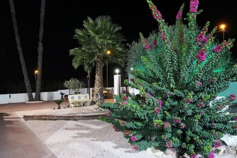 Villa en venta en Orihuela, Alicante, España 4 dormitorios, 495 m2 No. 176646 - foto 17