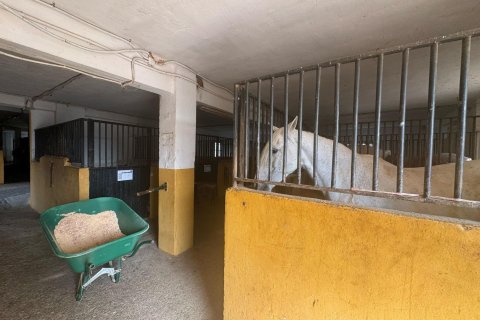 Apartament w Riba-roja de Turia, Valencia, Hiszpania 10 sypialni, 977 mkw. nr 168782 – zdjęcie 27
