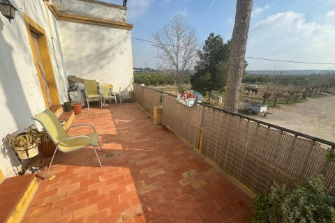 Apartament w Riba-roja de Turia, Valencia, Hiszpania 10 sypialni, 977 mkw. nr 168782 – zdjęcie 13