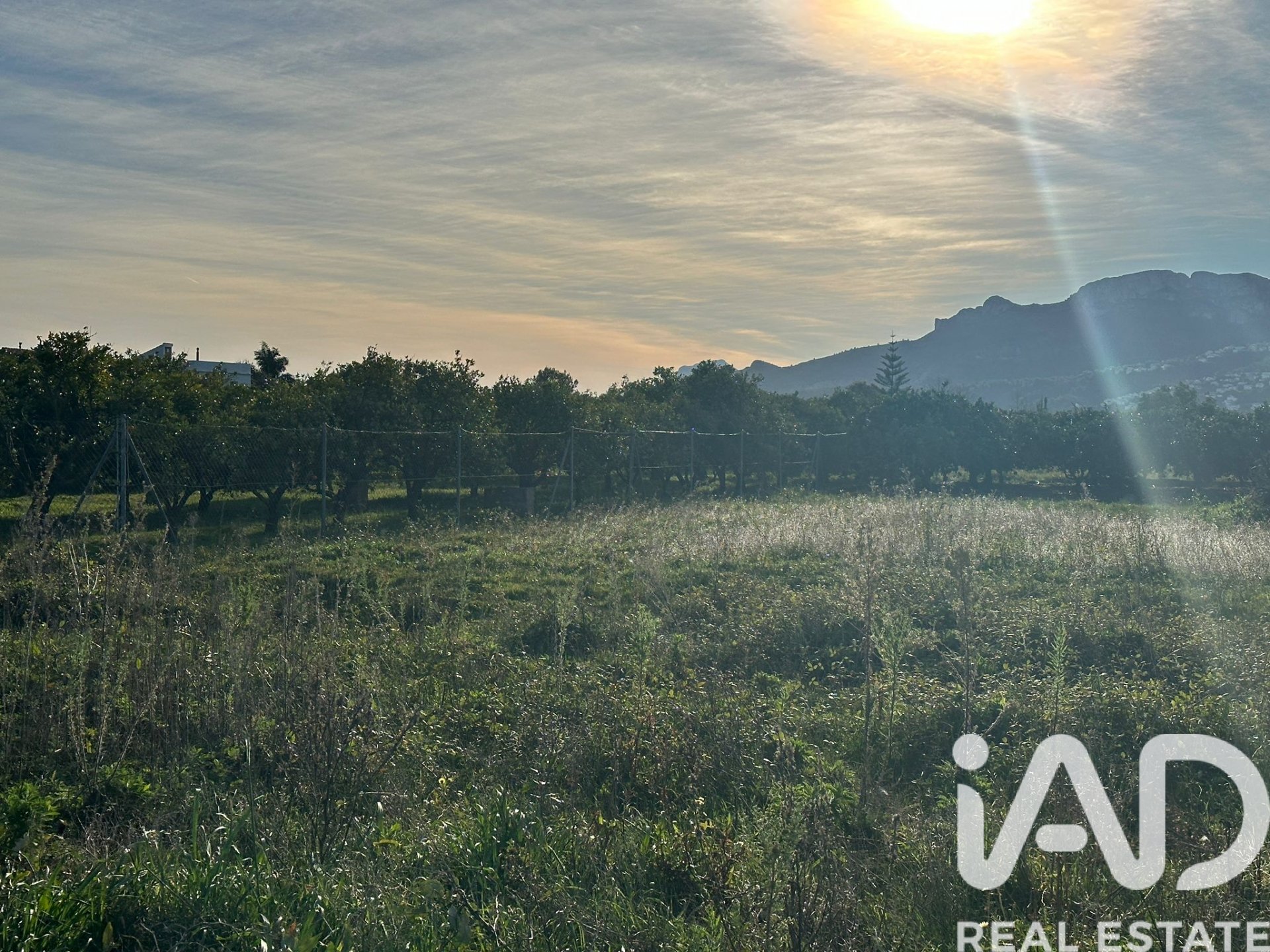 Zemes gabals Pego, Alicante, Spānijā 9802 m2 Nr. 185173