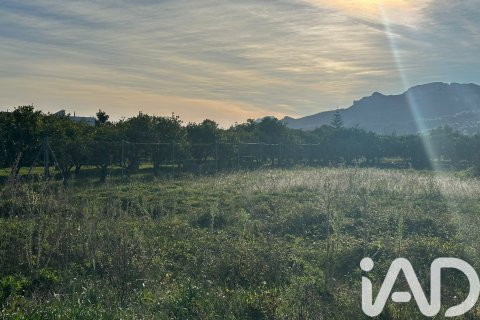 Land plot à vendre à Pego, Alicante, Espagne, 9802 m2 No. 185173 - photo 12