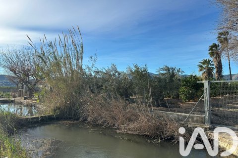 Land plot à vendre à Pego, Alicante, Espagne, 9802 m2 No. 185173 - photo 13