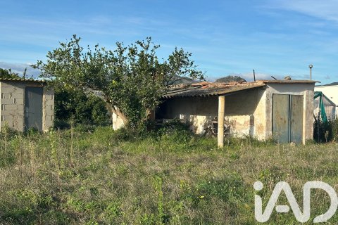Land plot à vendre à Pego, Alicante, Espagne, 9802 m2 No. 185173 - photo 4
