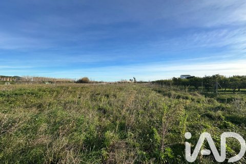 Land plot à vendre à Pego, Alicante, Espagne, 9802 m2 No. 185173 - photo 10
