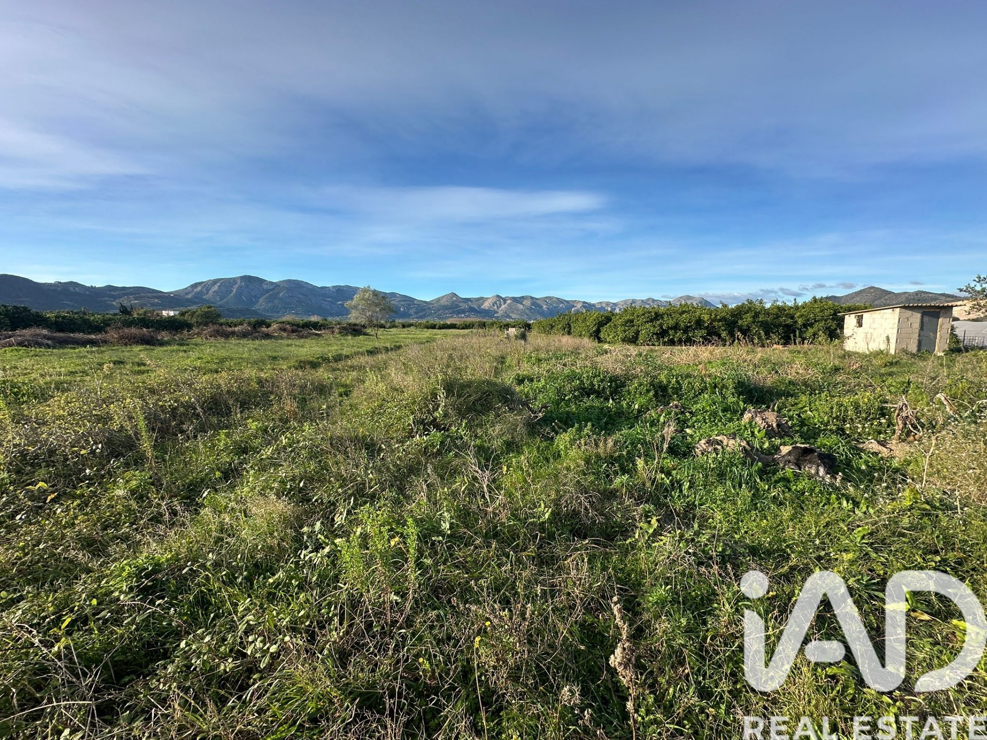 Zemes gabals Pego, Alicante, Spānijā 9802 m2 Nr. 185173