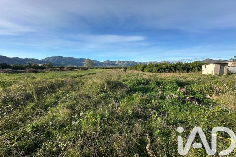 Land plot à vendre à Pego, Alicante, Espagne, 9802 m2 No. 185173 - photo 9