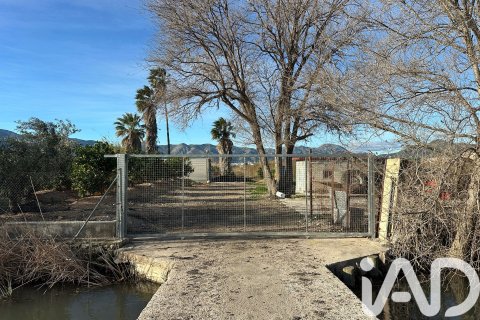 Land plot à vendre à Pego, Alicante, Espagne, 9802 m2 No. 185173 - photo 5