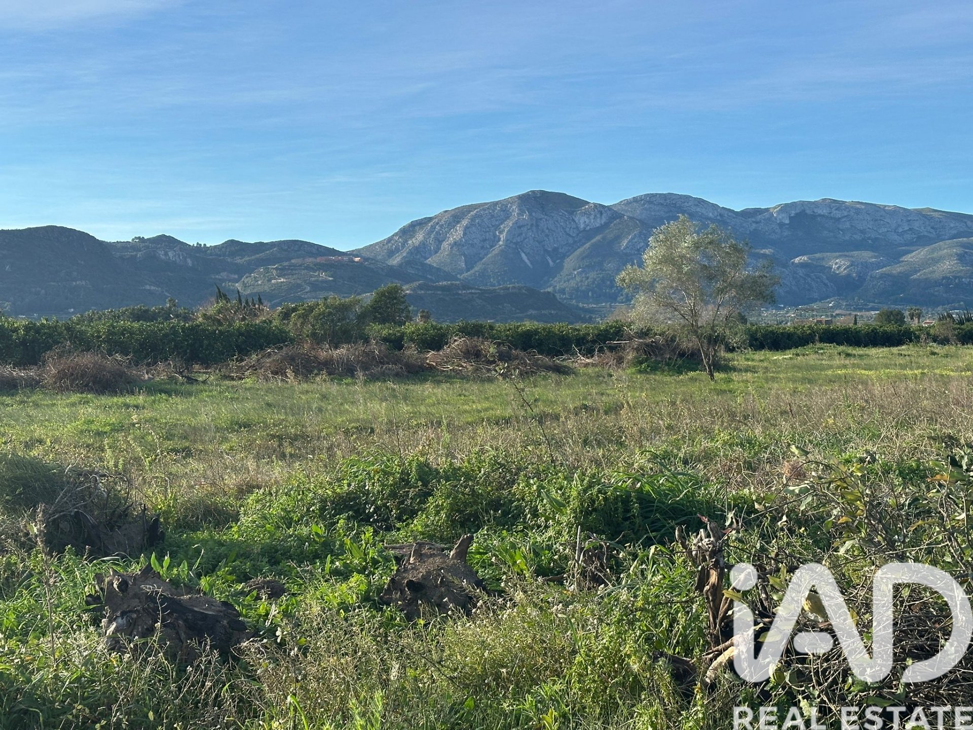 Zemes gabals Pego, Alicante, Spānijā 9802 m2 Nr. 185173