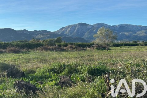 Land plot à vendre à Pego, Alicante, Espagne, 9802 m2 No. 185173 - photo 14