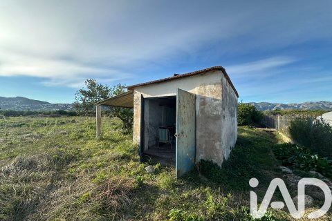 Land plot à vendre à Pego, Alicante, Espagne, 9802 m2 No. 185173 - photo 2