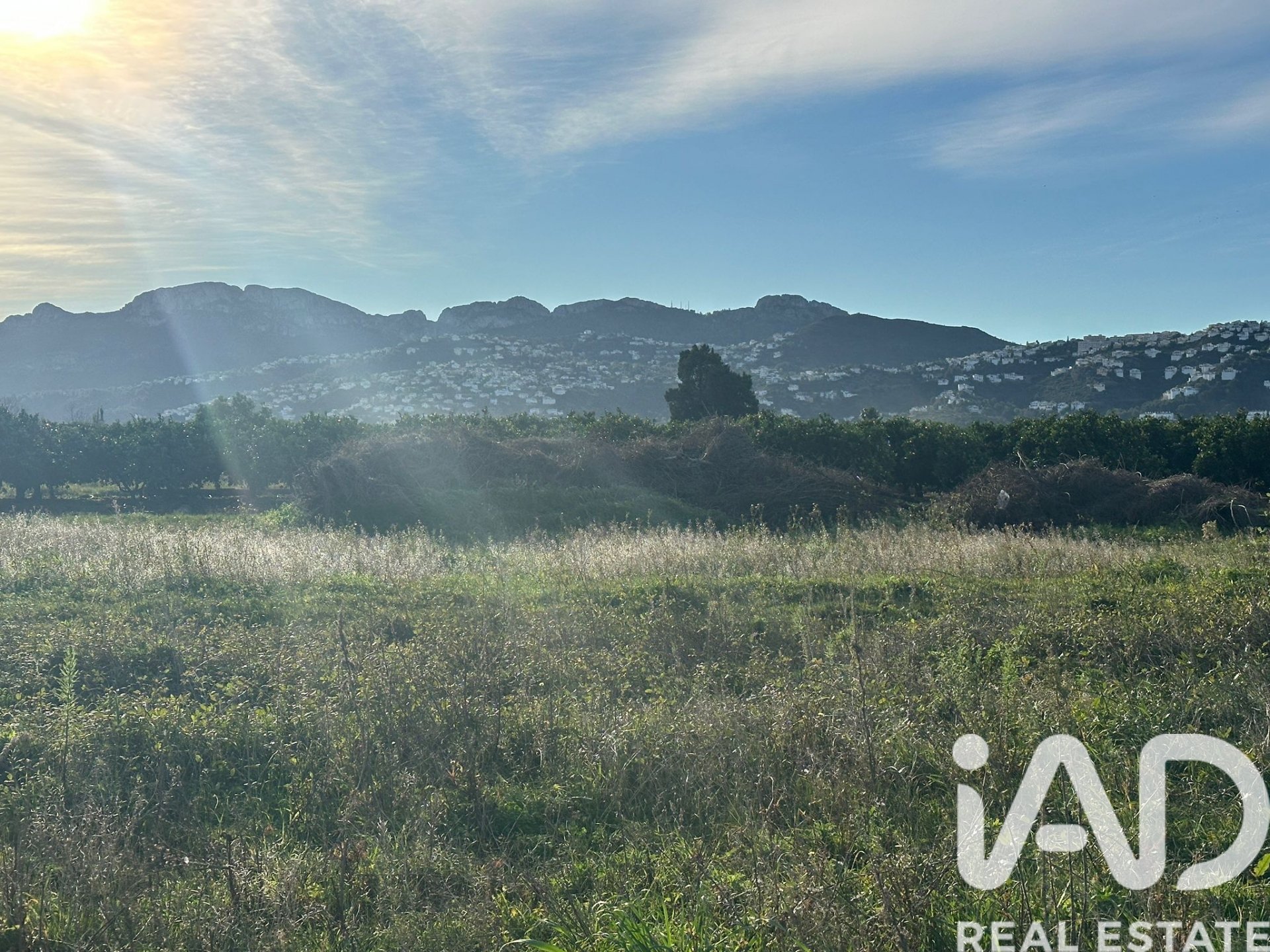 Zemes gabals Pego, Alicante, Spānijā 9802 m2 Nr. 185173