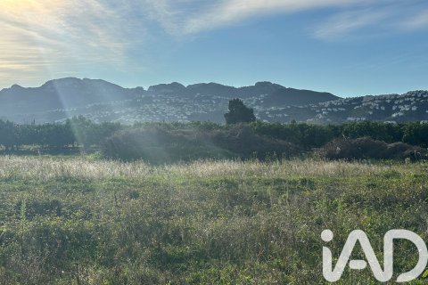 Land plot à vendre à Pego, Alicante, Espagne, 9802 m2 No. 185173 - photo 15
