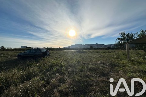 Land plot à vendre à Pego, Alicante, Espagne, 9802 m2 No. 185173 - photo 17