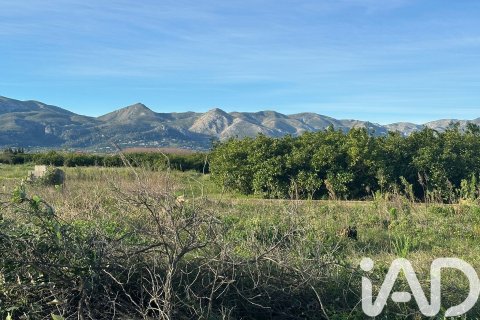 Land plot à vendre à Pego, Alicante, Espagne, 9802 m2 No. 185173 - photo 11