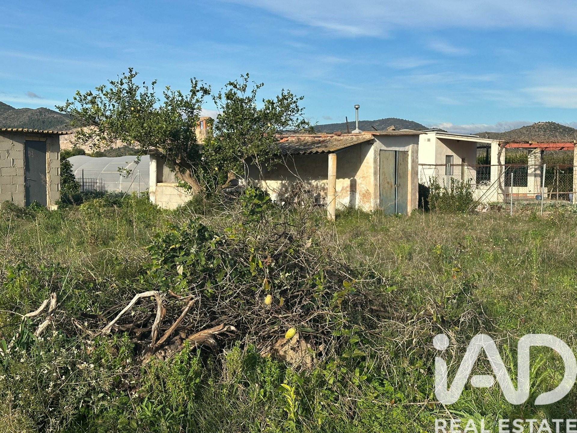 Zemes gabals Pego, Alicante, Spānijā 9802 m2 Nr. 185173