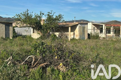 Land plot à vendre à Pego, Alicante, Espagne, 9802 m2 No. 185173 - photo 3