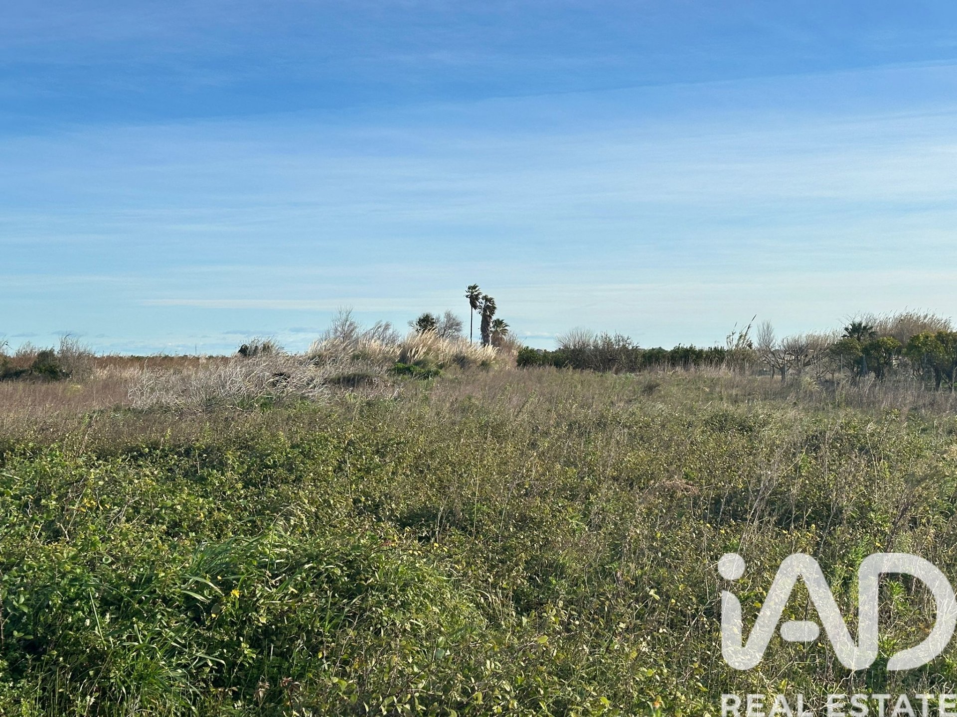 Zemes gabals Pego, Alicante, Spānijā 9802 m2 Nr. 185173