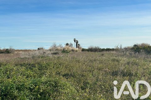 Land plot à vendre à Pego, Alicante, Espagne, 9802 m2 No. 185173 - photo 16